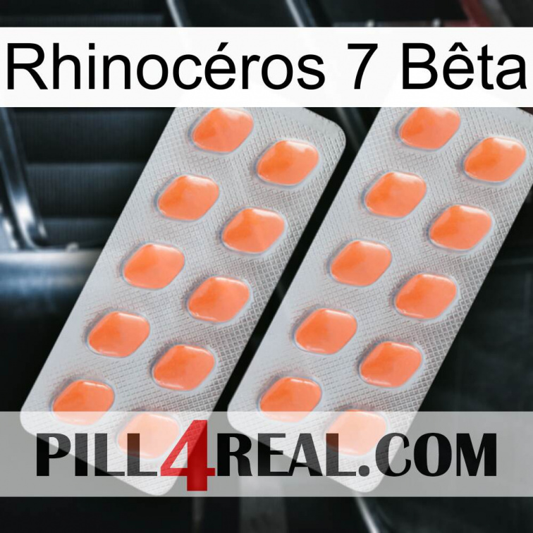Rhinocéros 7 Bêta 27